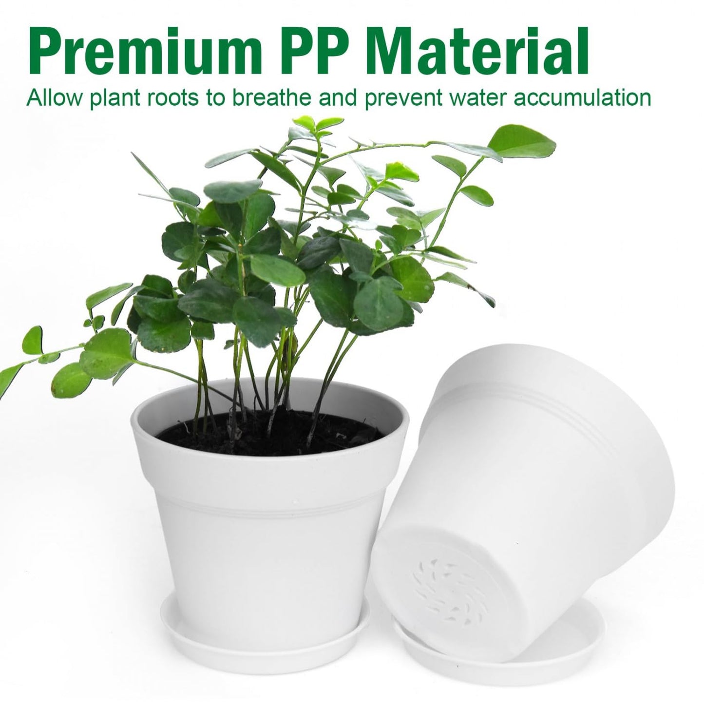 June Fox 60 Pack Small Plant Pots Indoor 4 Inch Plastic Planter with Drainage Holes and Saucers Premium Decorative White Plant Pot for Succulent, African Violets, Flowers, Plants