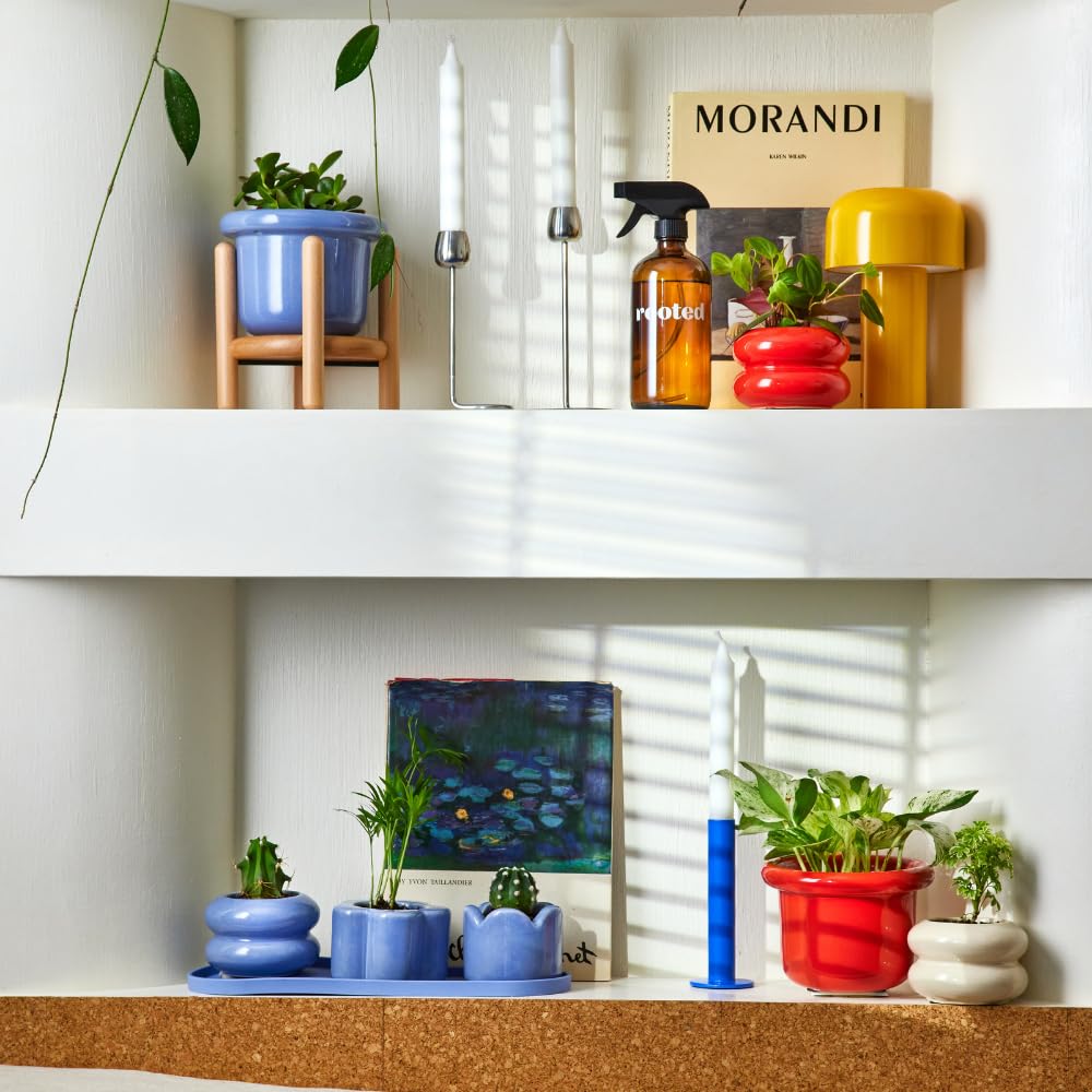 Rooted 2 inch Mini Planter Trio – Set of 3 Glossy Ceramic Pots with Drainage Holes and Silicone Tray for Furniture Protection, Ideal for Compact Spaces, Ideal for 2 inch Plants, Oat Beige