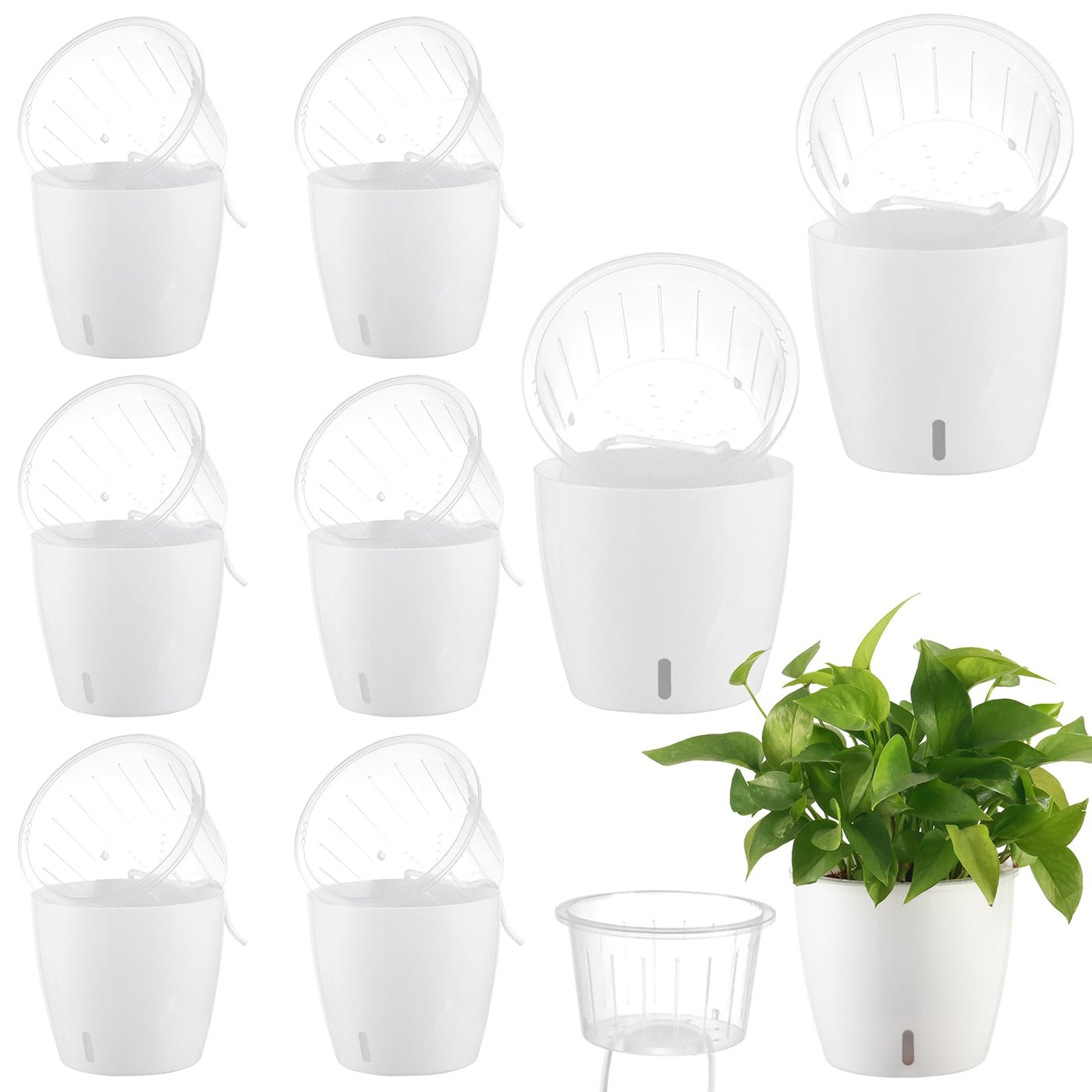 KvyusFlourish Self-Watering Pots for Indoor Plants, 8-Pack 6.7'' Self Watering Planter with Drainage Holes, Small African Violet Pots with Water Indicator, Clear Wick Pot, White