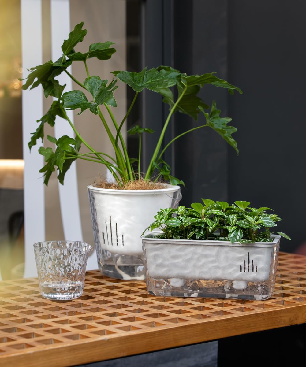 Qimodo 3 Pack Self Watering Rectangular Plant Pots, 11" x 5"x 5" Plant Containers with Drainage Holes, Rectangle Houseplant Window Planters for Succulents, Flowers,Herbs,Vegetables (Grey)