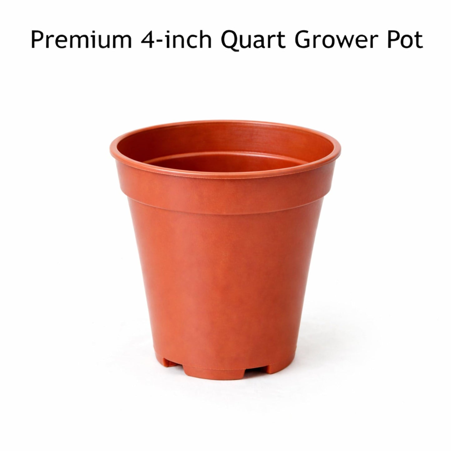 Easy to Grow Houseplants Mix Pack of 3 Full Size Potted Plants - Established & Rooted in 4" Quart Pots, Growers Assorted Mix of Air-Purifying Large Plants (Not Starter Plugs)