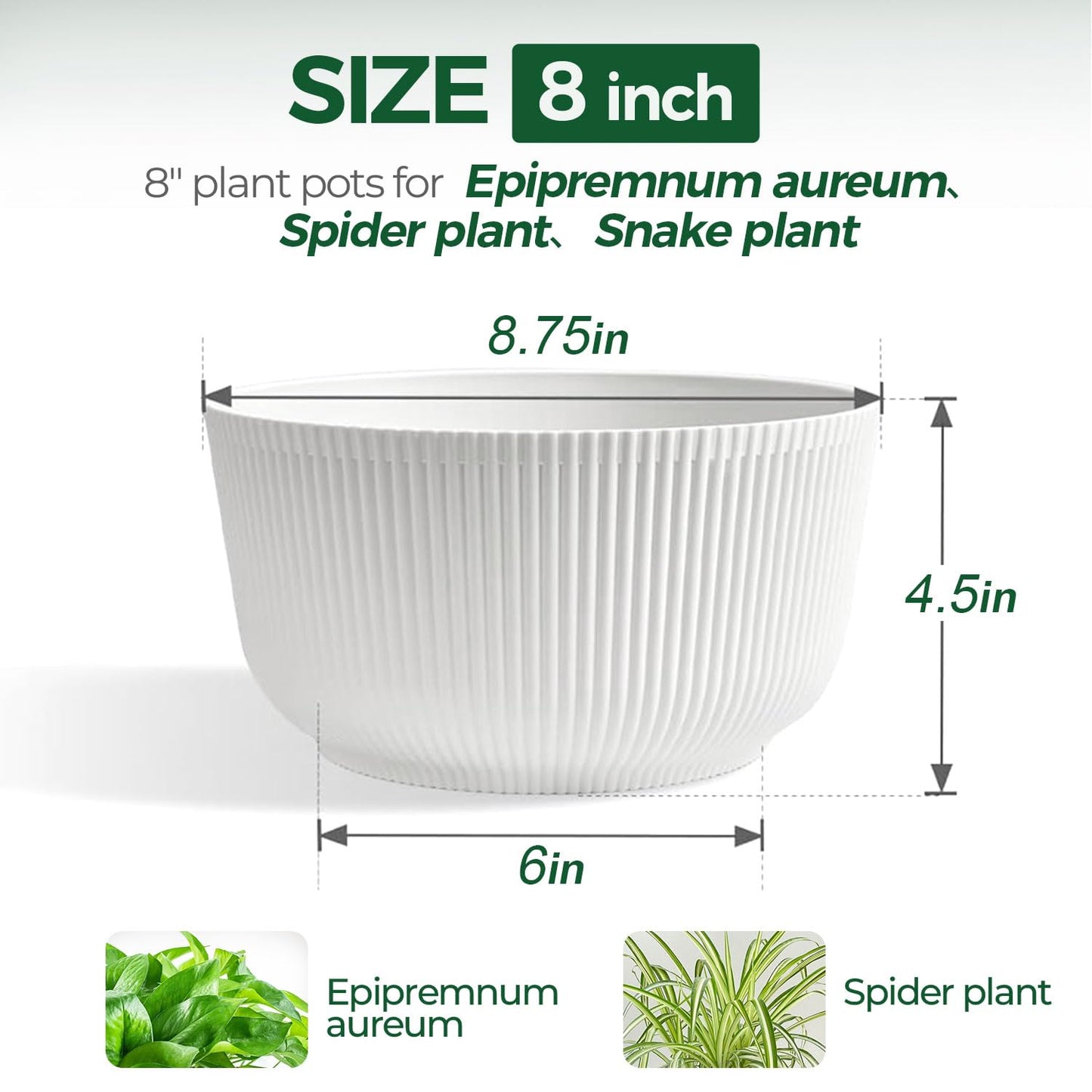 T4U 8 Inch Self Watering Pots for Indoor Plants, 2 Pack Plant Pots, Durable Plastic Self Watering Planter for Indoor Plants (2 Pack, 8", White)