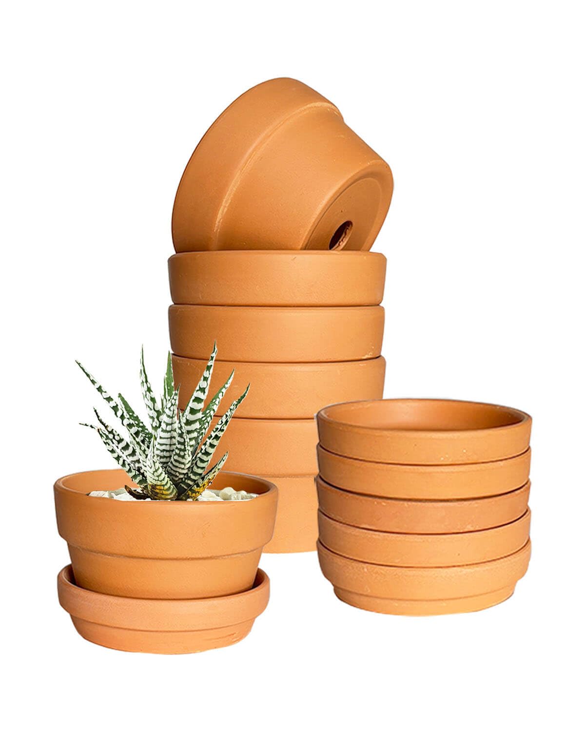 4.5 Inch Shallow Terracotta Plant Pots - 6 Pack Small Clay Flowerpot with Drainage Hole, Terra Cotta Succulent Pot for Indoor Outdoor Plants