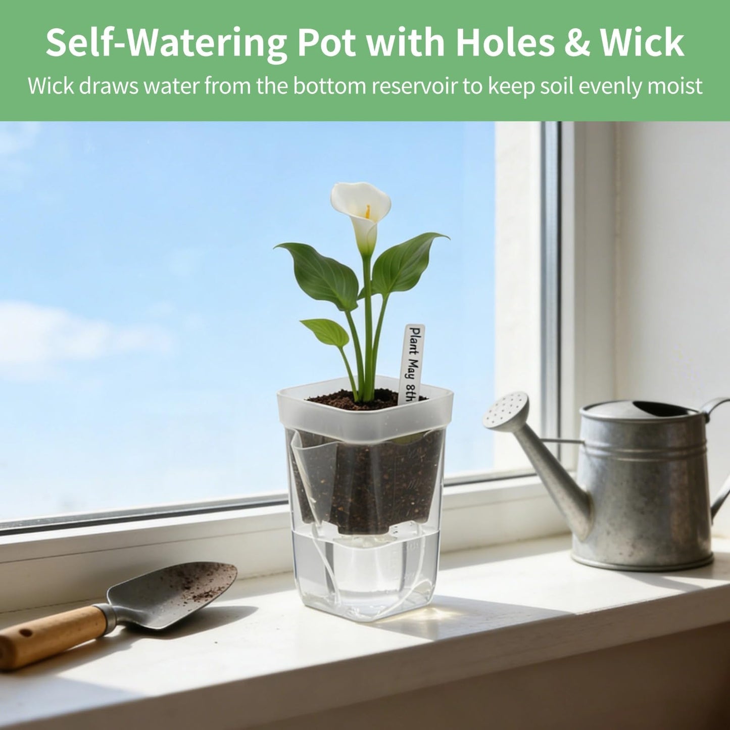 12 PCS Small Self-Watering Pots for Indoor Plants, 2.6 in Clear Plastic Planters with Wick, Mini Semi-Hydro Propagation Pots for Cuttings Hoya African Violet Alocasia with 12 Plant Labels