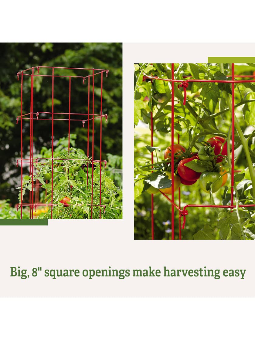 Gardener’s Supply Company Lifetime Tomato Cages | Heavy Gauge Sturdy Garden Plant Supports for Vegetables and Other Climbing Plants | No Assembly Needed - Green (Set of 4)