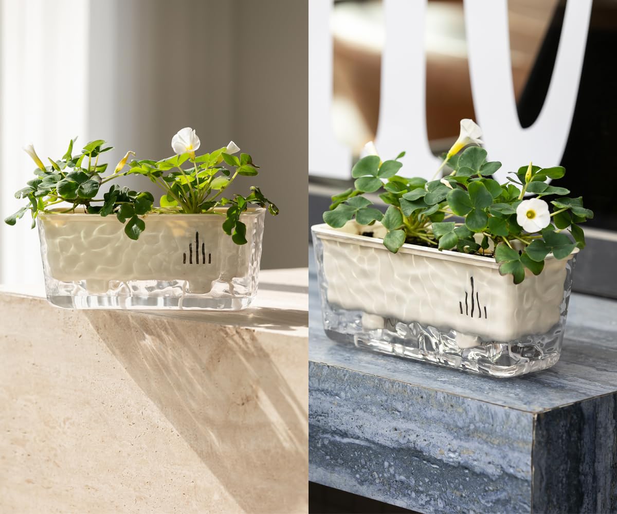 Qimodo 3 Pack Self Watering Rectangular Plant Pots, 11" x 5"x 5" Plant Containers with Drainage Holes, Rectangle Houseplant Window Planters for Succulents, Flowers,Herbs,Vegetables (Off-White)