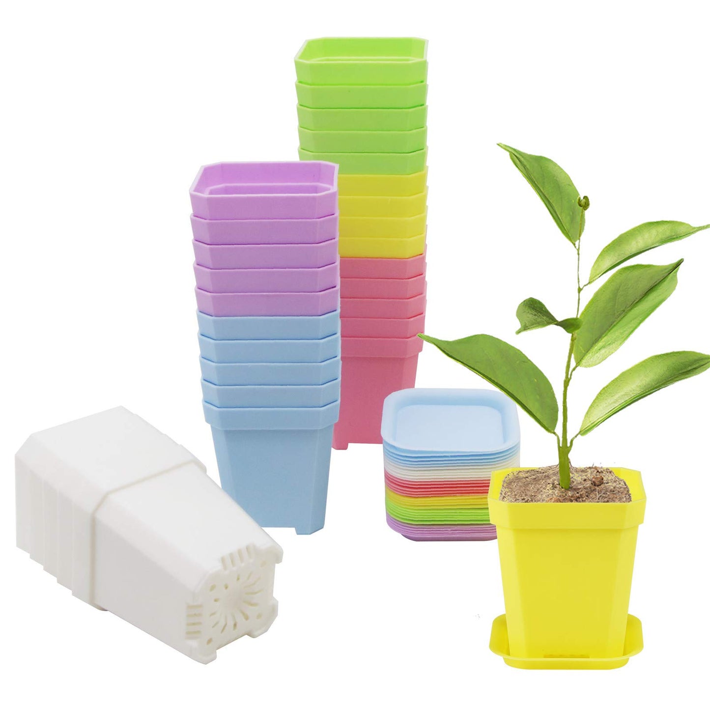 foxany 30 Pcs 3" Plants Nursery Pot, Thick Plastic Square Colorful Flower Planting Pots, Plant Seedling Pots, Seed Starting Pots with Saucers - Multi 30 Pcs