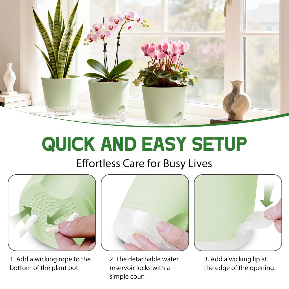 KEETUMOOD Self Watering Pots for Plants, 2026 New Flower Plant Pots with Drainage Holes, Wicking and Clear Reservoirs for Succulent, Aloe, Cacti and Others - 6 Pack (Green, 6")