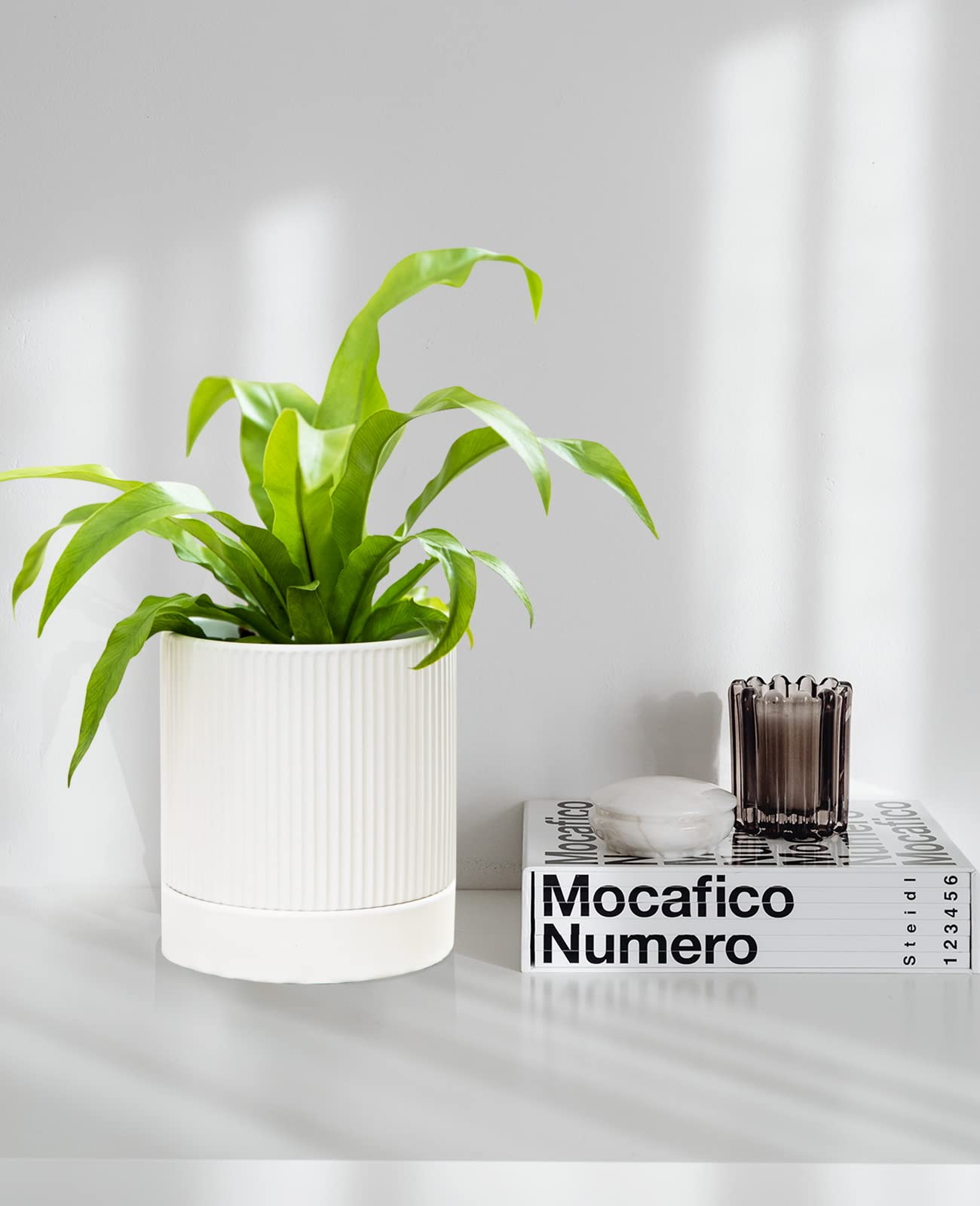 LaDoVita 3 Pack Ceramic Plant Pots 6/5/4 inch, Flowerpot for Indoor Plants with Drainage Holes and Tray, Outdoor Garden Planters, Modern Decorative for Home, White Vertical Stripes