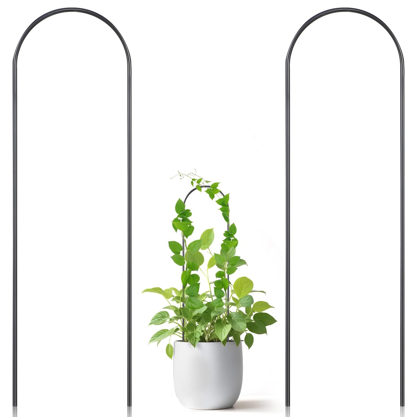 Oruola 2 Pack Hoya Trellis, Plant Trellis for Pots,U-Shaped Small Trellis for Potted Plants,13.4 Inch Metal Indoor Plant Trellis for Potted Plants for Vine Ivy Hoya Monstera,Indoor Outdoor Use, Black