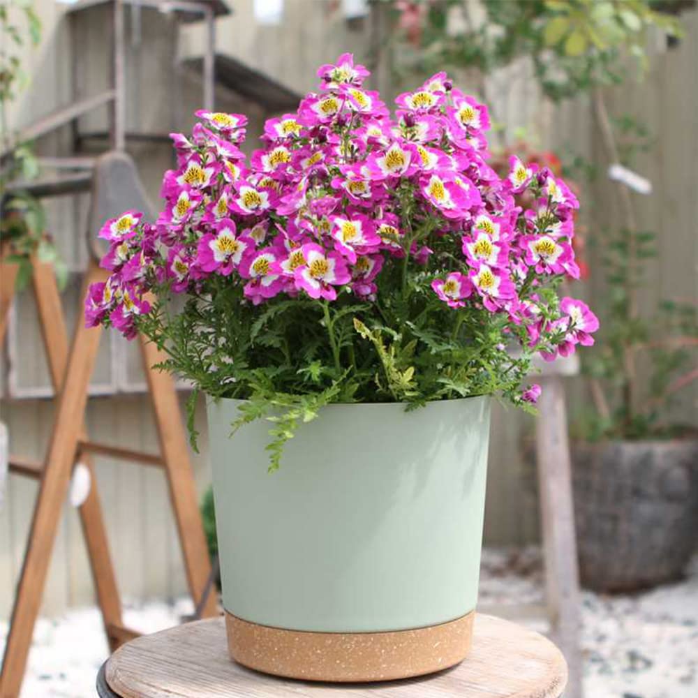 ZMTECH Spring Planters for Indoor Plants, Plant Pots & Flower Pots, Plastic Planter 3 Pack 8 Inch Self Watering with Drainage Hole and Saucer, Modern Decorative Indoor Outdoor, Green
