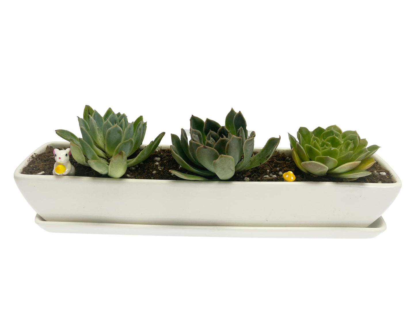Kipokalor Long Rectangular Modern Succulent Planter Pot, 2 Set of 11.1x2.36x1.77inch Minimalist White Ceramic Succulent Planter Pot with Ceramic Saucer for Office,Desk,Window.