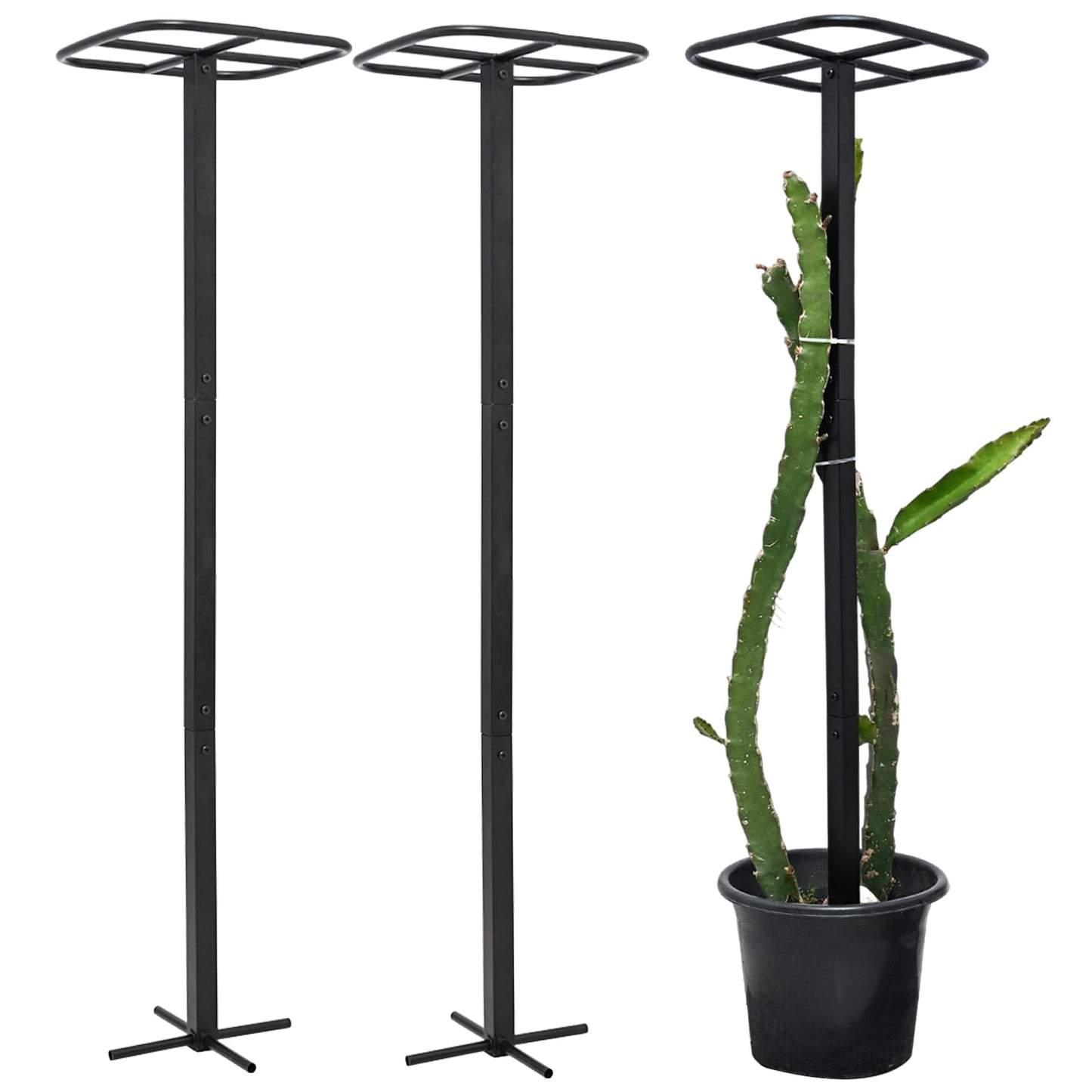 Yohsnor 2-Pack Metal Dragon Fruit Trellis - Durable Vertical Garden Support for Climbing Plants, Easy to Assemble, 12x12x50 Inches for Dragon Fruit Enthusiasts