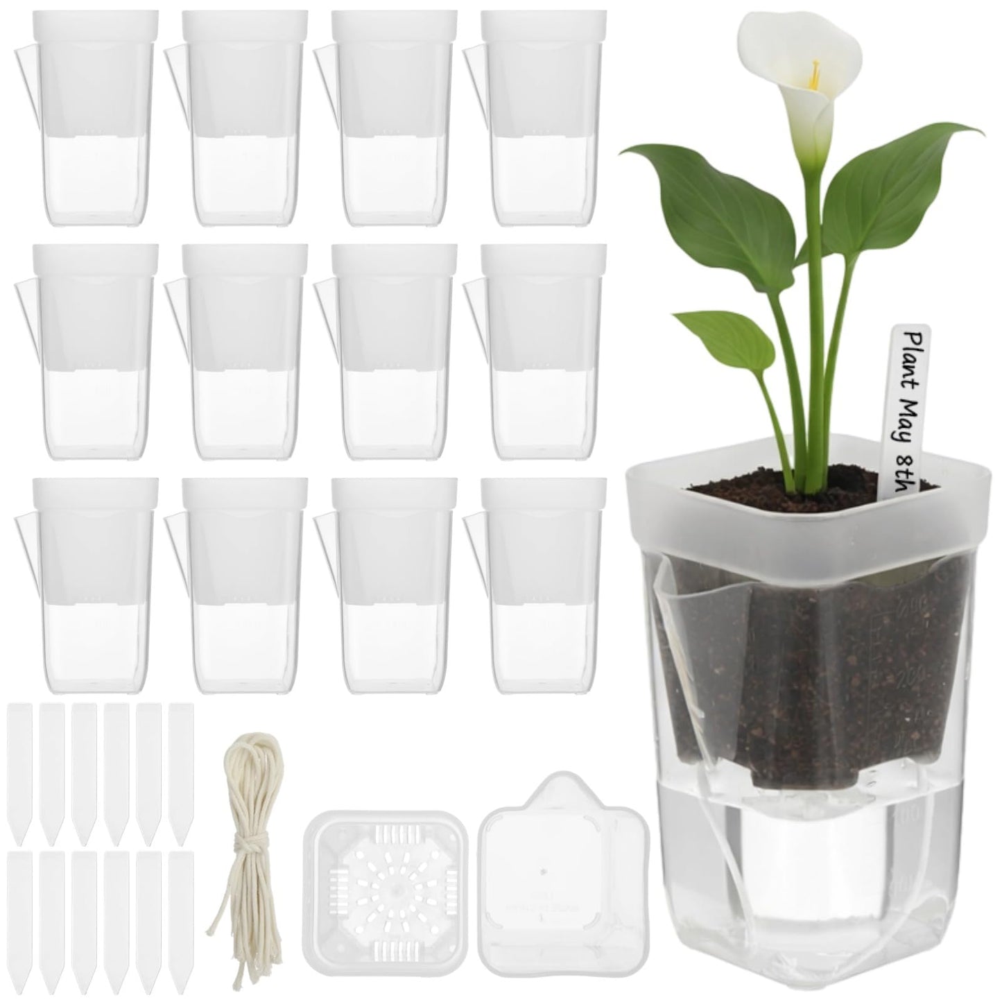 12 PCS Small Self-Watering Pots for Indoor Plants, 2.6 in Clear Plastic Planters with Wick, Mini Semi-Hydro Propagation Pots for Cuttings Hoya African Violet Alocasia with 12 Plant Labels