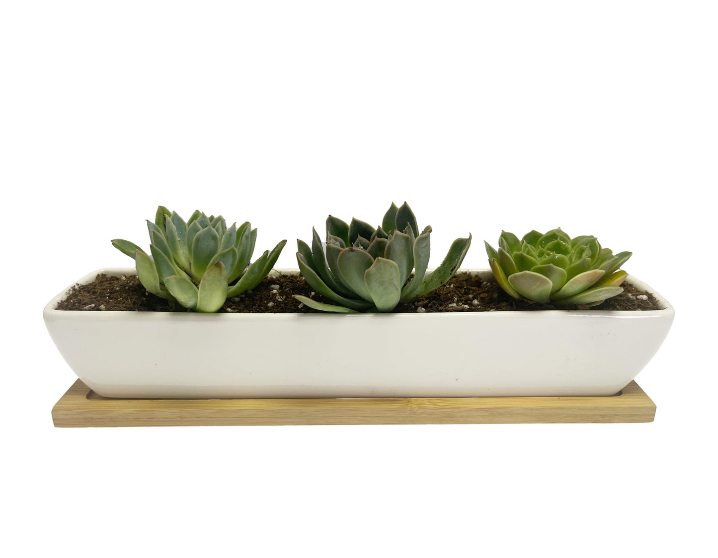 SeaStar White Rectangular Long Succulent Planter Pot,11x2.16x1.75inch Modern Minimalist Ceramic Succulent Planter Pot with Saucer for Office,Desk,Window.