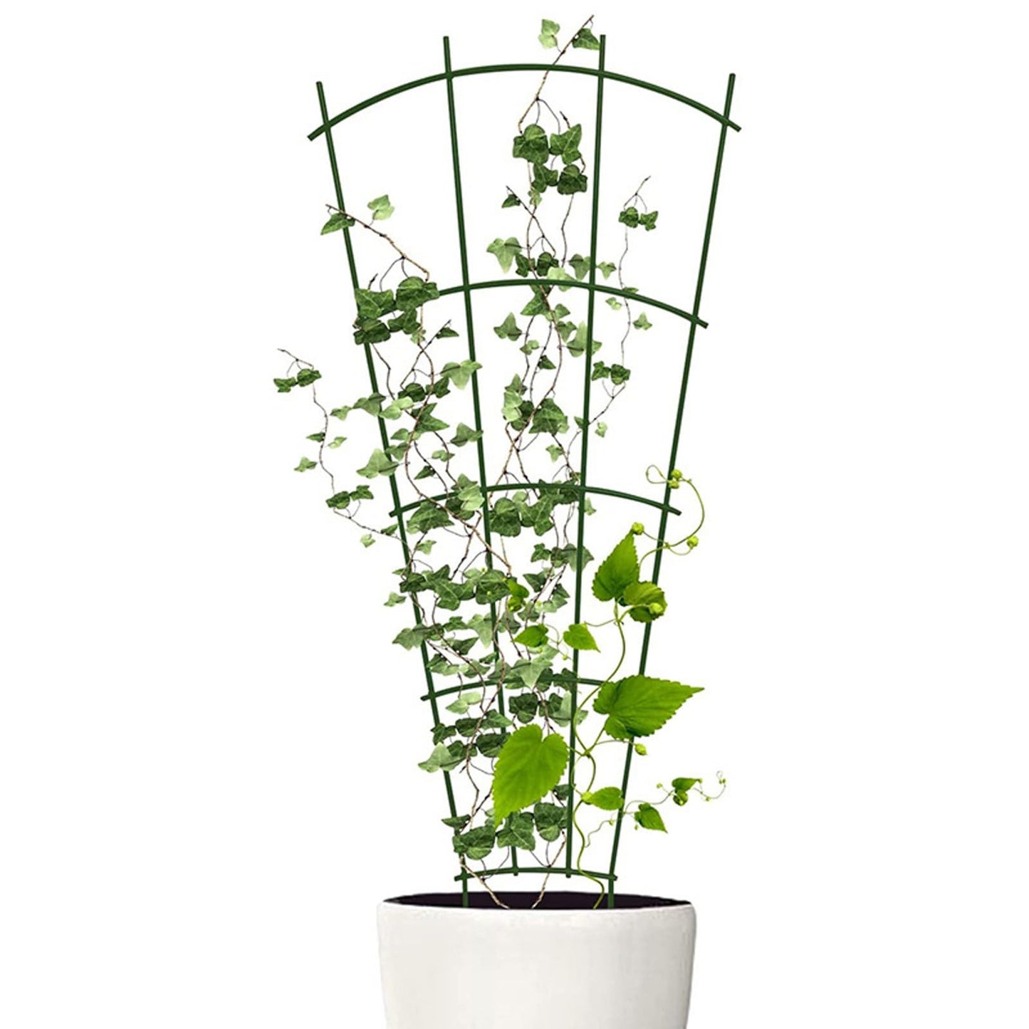 Plant Trellis for Potted Climbing Plants Indoor, Outdoor Metal Garden Trellis for Climbing Plants Houseplants Flowers Vine Ivy, Fan Shape (2)