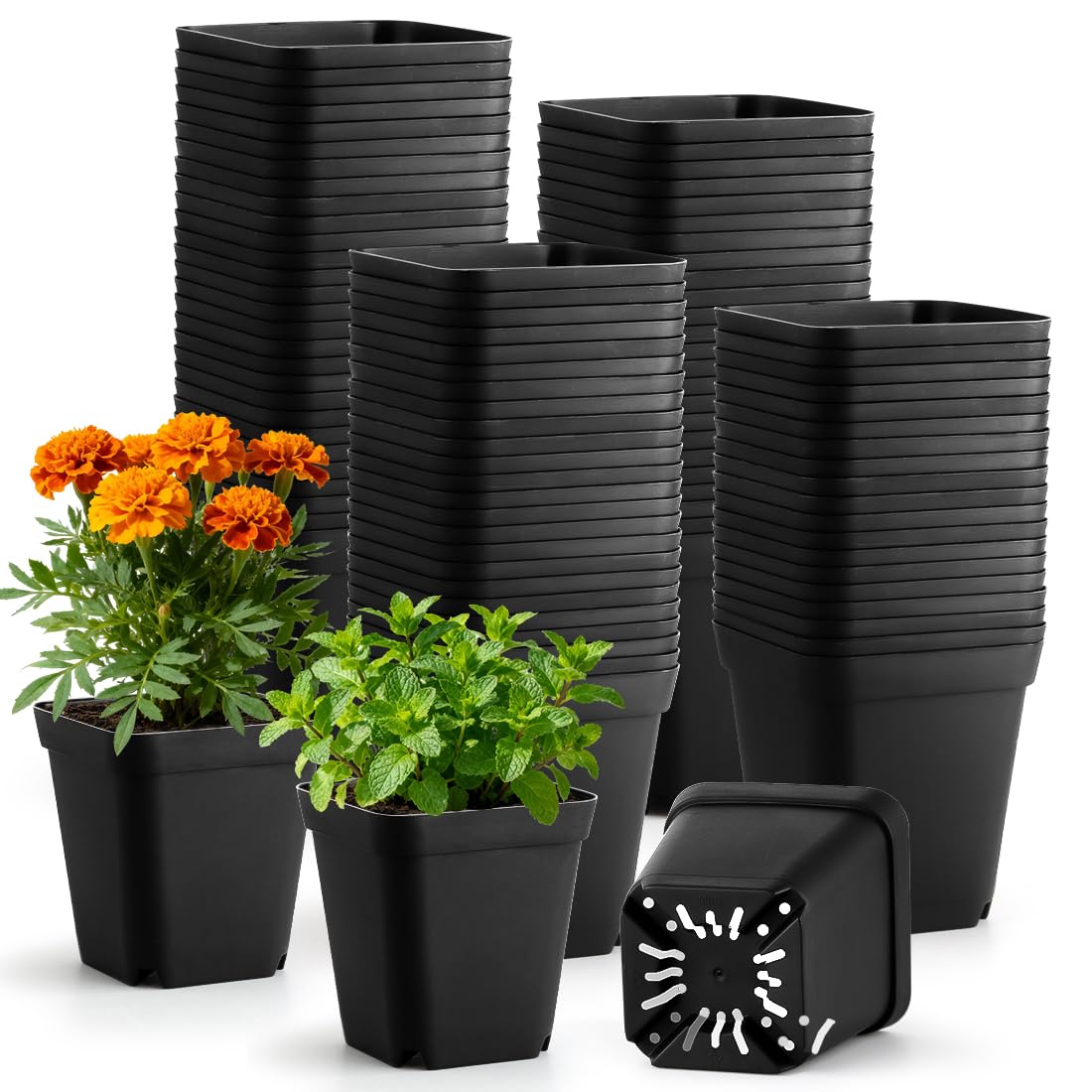 BTPLASTIK Square Nursery Pots 2.7 Inch 180 Pcs, Plastic Small Flower Pots with Drainage Holes, Sturdy Seedling pots for Planting, Cuttings (Black)