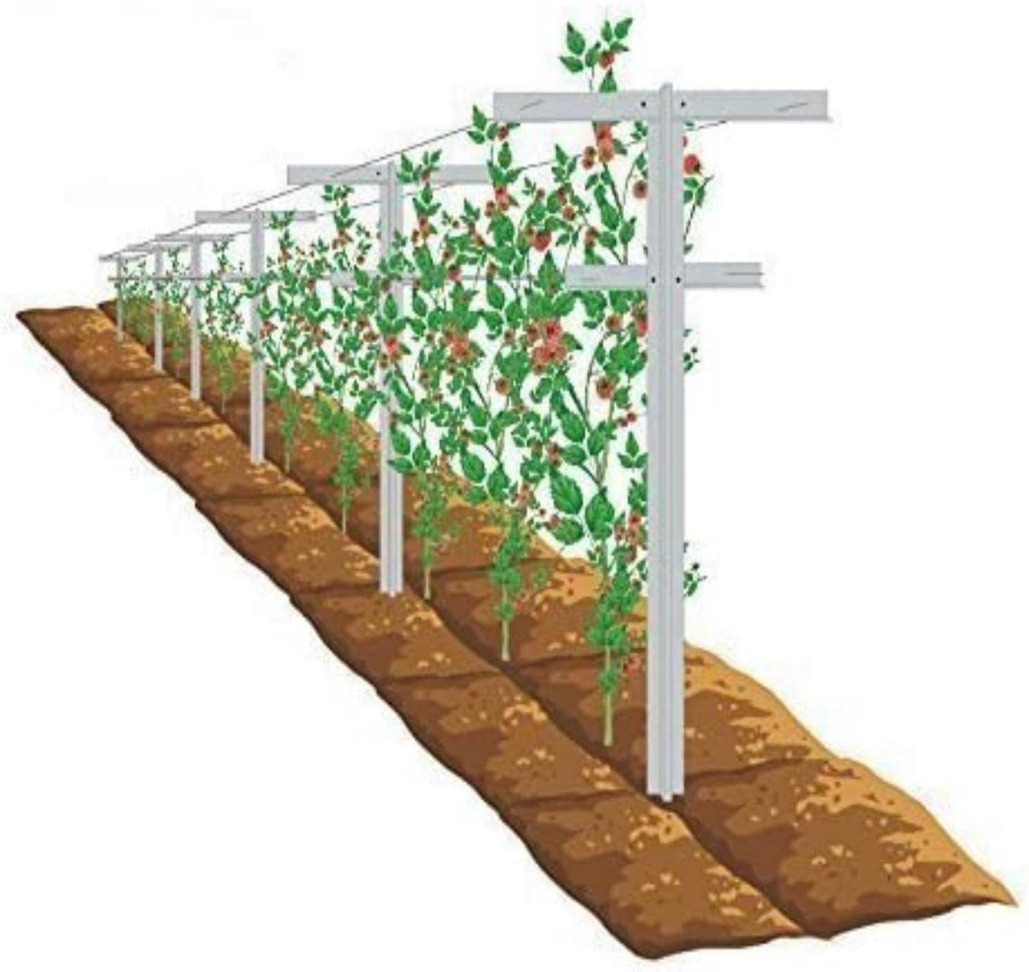 MRGARDEN 7-Feet Adjustable Garden Trellis Set for Raspberry and Climbing Plants, Outdoor Stake Vineyard Trellis, Pack of 4
