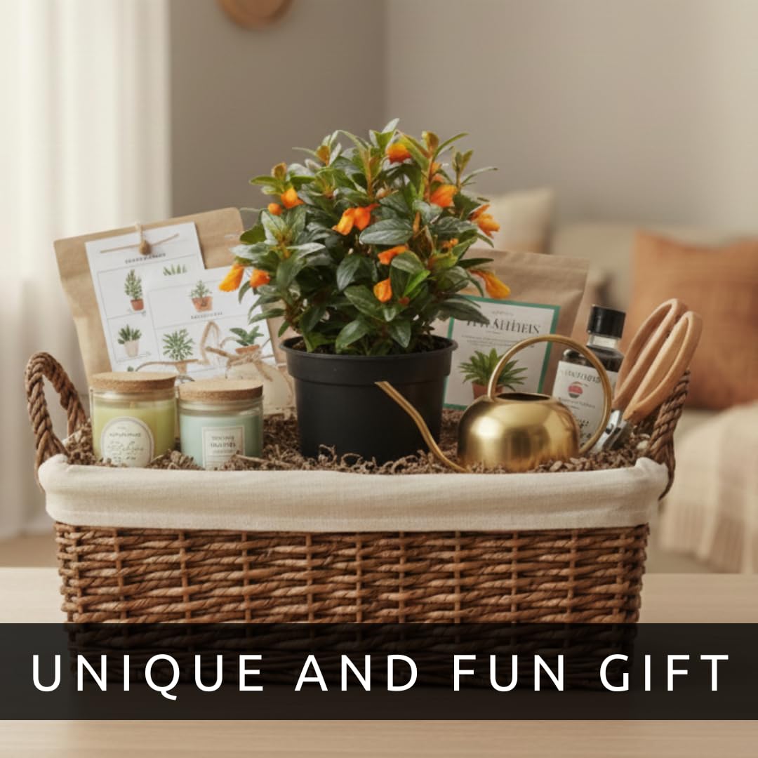 Orange Goldfish Starter Plant - 2 Inch Pot - Cute Indoor Nematanthus Starter Plant with Bright “Goldfish” Blooms – Gift for Fish Lovers, Small Spaces & Year-Round Color – Easy Houseplant