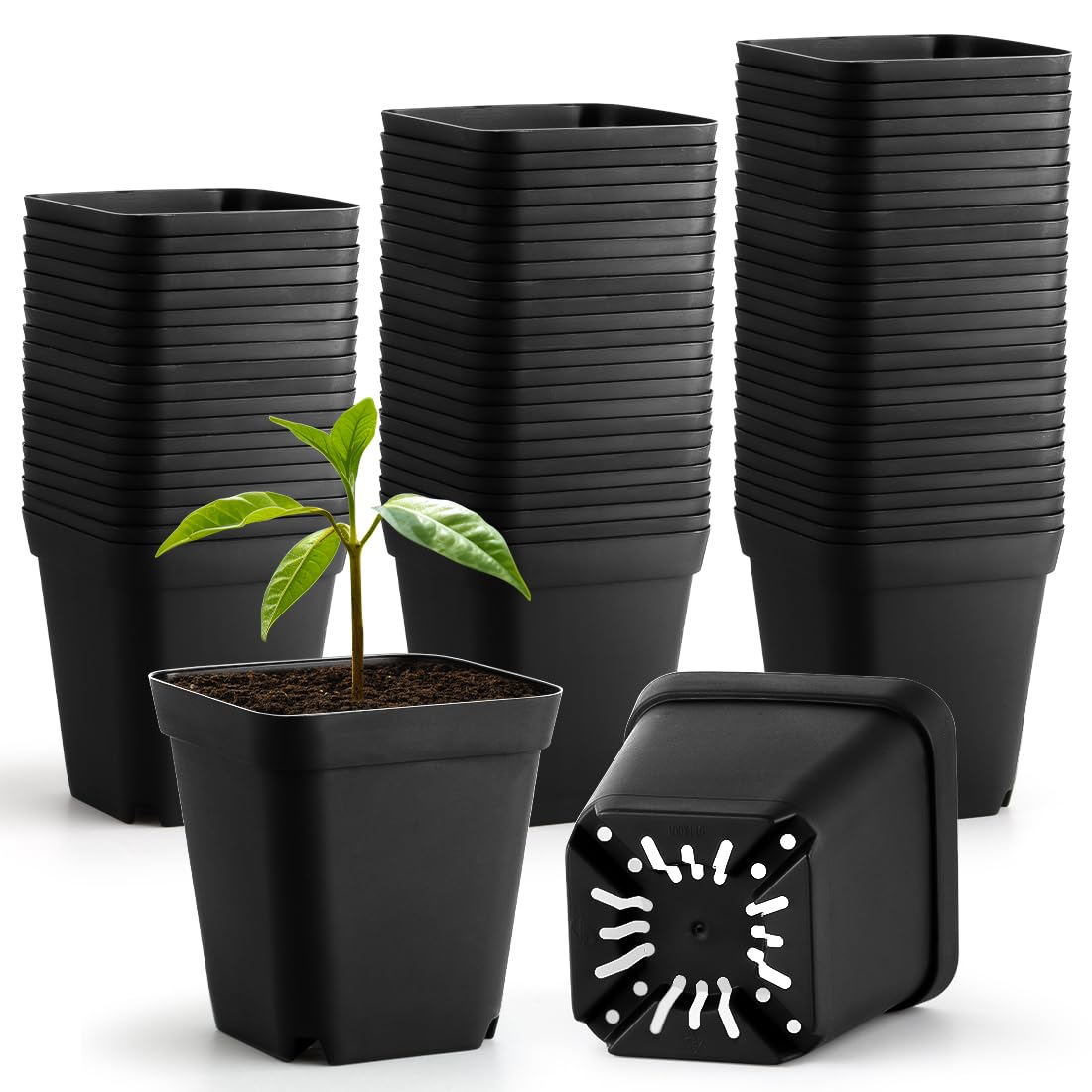 60 Pcs Nursery Pots 2.7 Inch, Plastic Seed Starting Pot with Drainage Holes, Sturdy Seedling pots for Planting, Cuttings (Black)