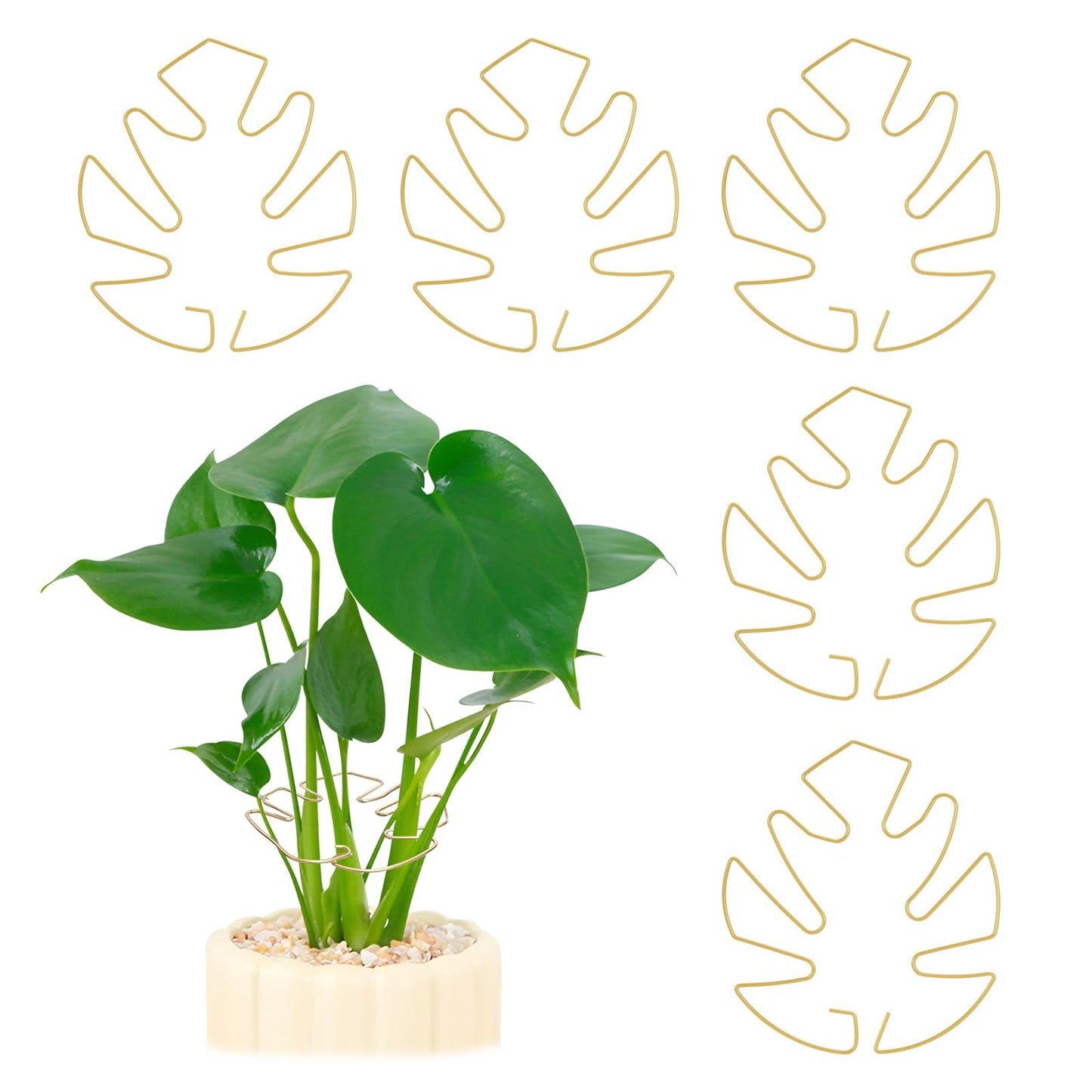 5PCS Iron Monstera Plant Support, Plant Stem Support, Turtle Shell Bamboo Clamp Set, Stable Plant Support Stakes for Indoor Plant, Ideal Present for Plant Lovers