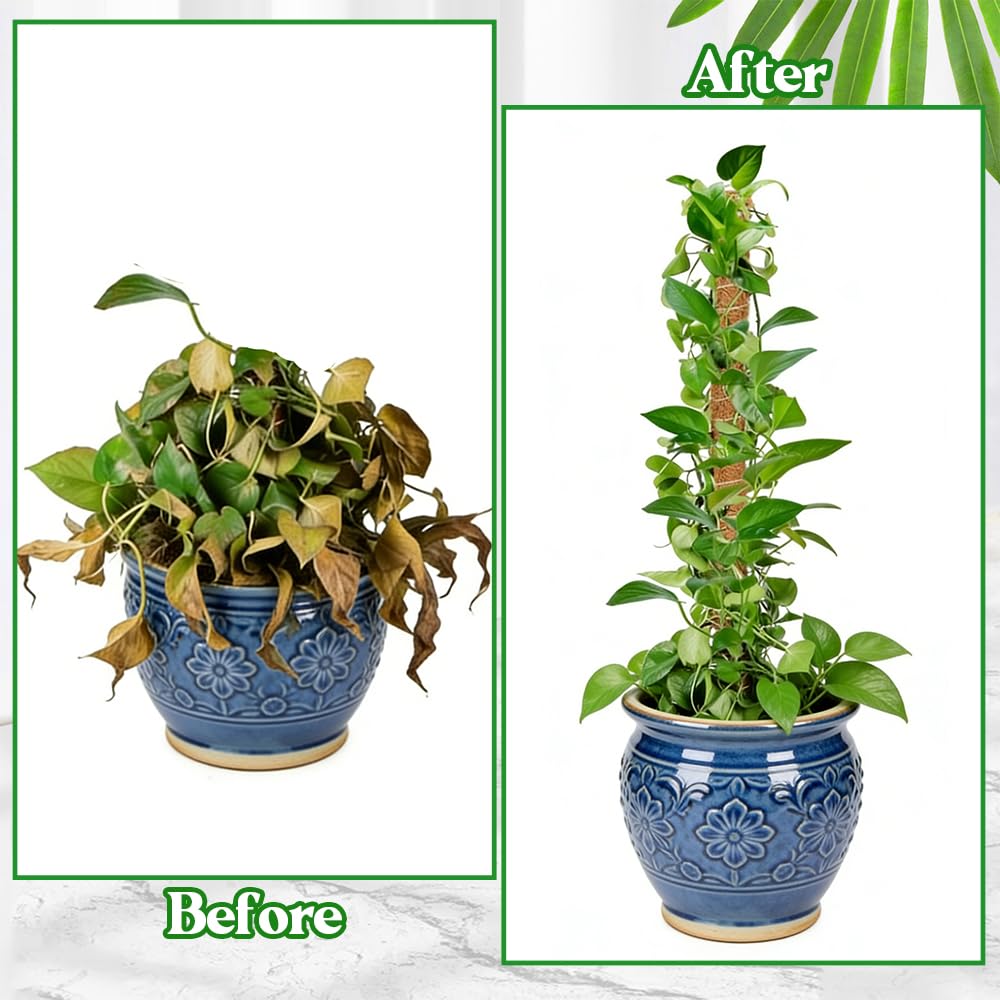 Moss Pole 2 Pack 32 Inch Monstera Plant Support Bendable Moss Pole for Monstera Plants Indoor Handmade Coco Coir Pole Plant Sticks Support Stakes for Potted Plants Philodendron to Grow Upwards