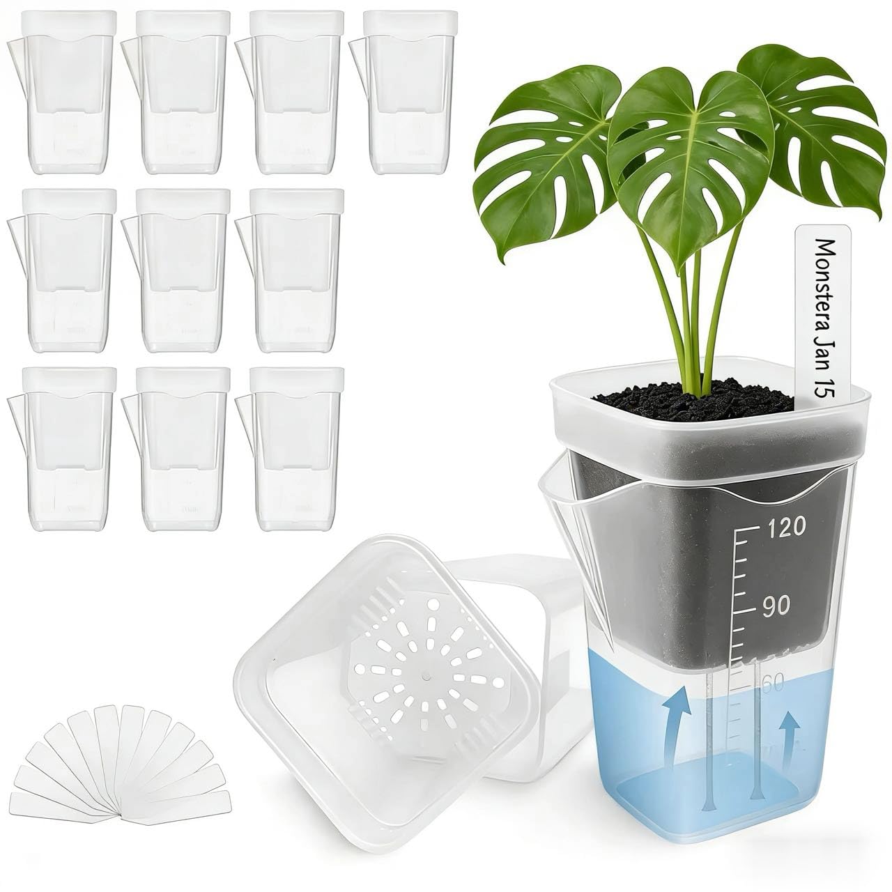 10 Pack Small Self Watering Pots for Indoor Plants, Clear Plastic Semi Hydroponic Pots for Leca, Orchids & Succulents, Small Transparent Plant Containers for Propagation, Seedling, Cutting (2 inch)