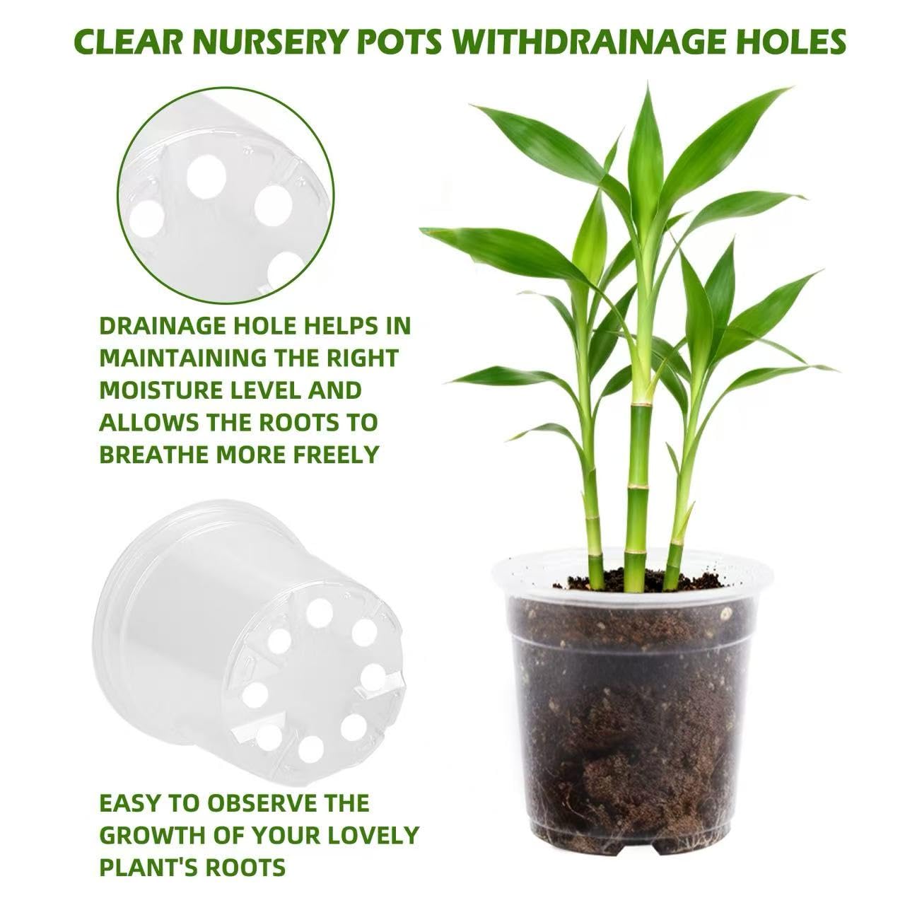 Lijnryu 36 Pack 3.5/5/6/7 Inch Clear Nursery Pots with Drainage Holes, Transparent Plastic Planters for Plants, Reinforced Seed Starter Pots Flower Pots for Indoor and Outdoor Use