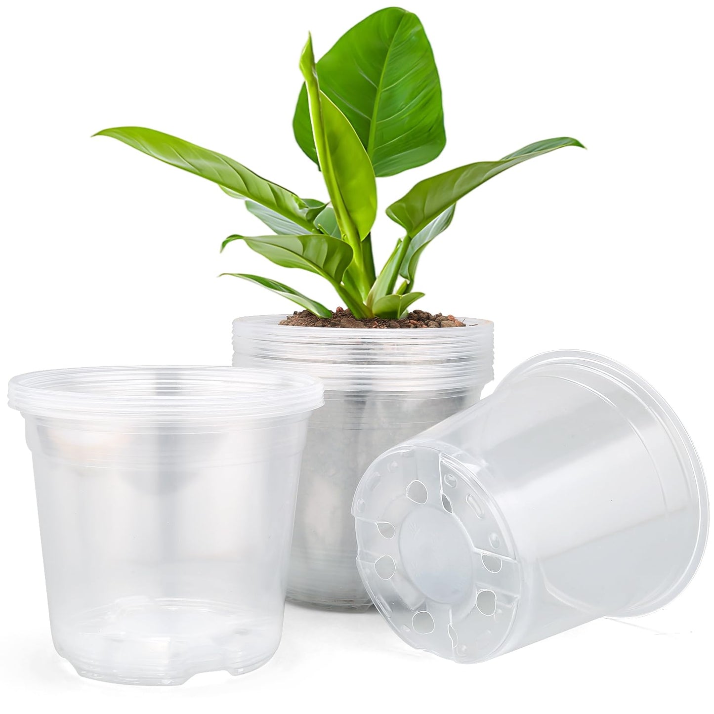 DUNPUTE 15 Pack Clear Nursery Pots with Drainage Holes, 3 Inch Seed Starting Plastic Plant Pots, Transparent Variety Pack Flexible Garden Pot for Outdoor Indoor (Clear, 3 Inch)