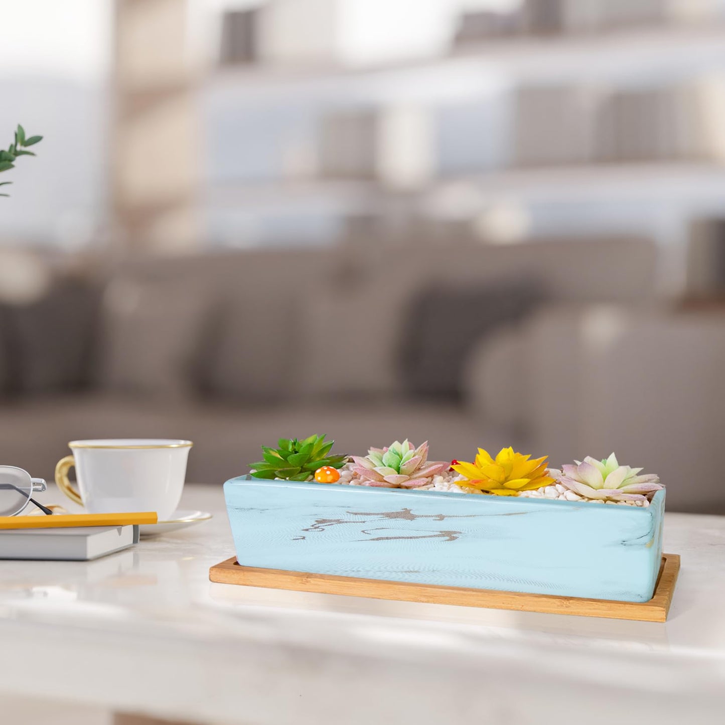 Succulent Pots - 12.1 Inch Large Succulent Pots with Drainage Tray, Window Sill Planter, Long Rectangle Ceramic Pots for Indoor Cactus/Succulent Plants Shallow Bonsai Window Box for Home Garden Decor