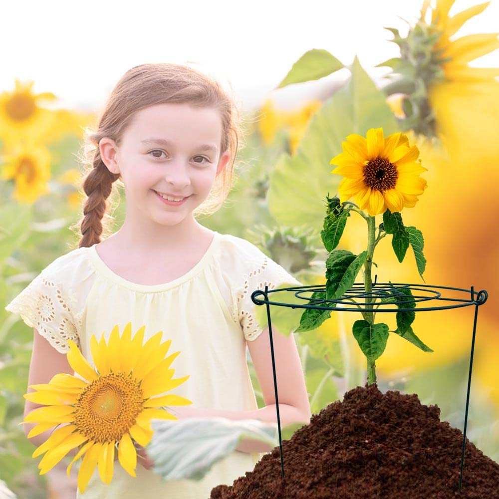 10 Pack 12"x16" Peony Cages Plant Support Stakes Grow Through Grid Grow Through Hoops, Metal Flower Plant Brace Support Ring for Heavy Blossom