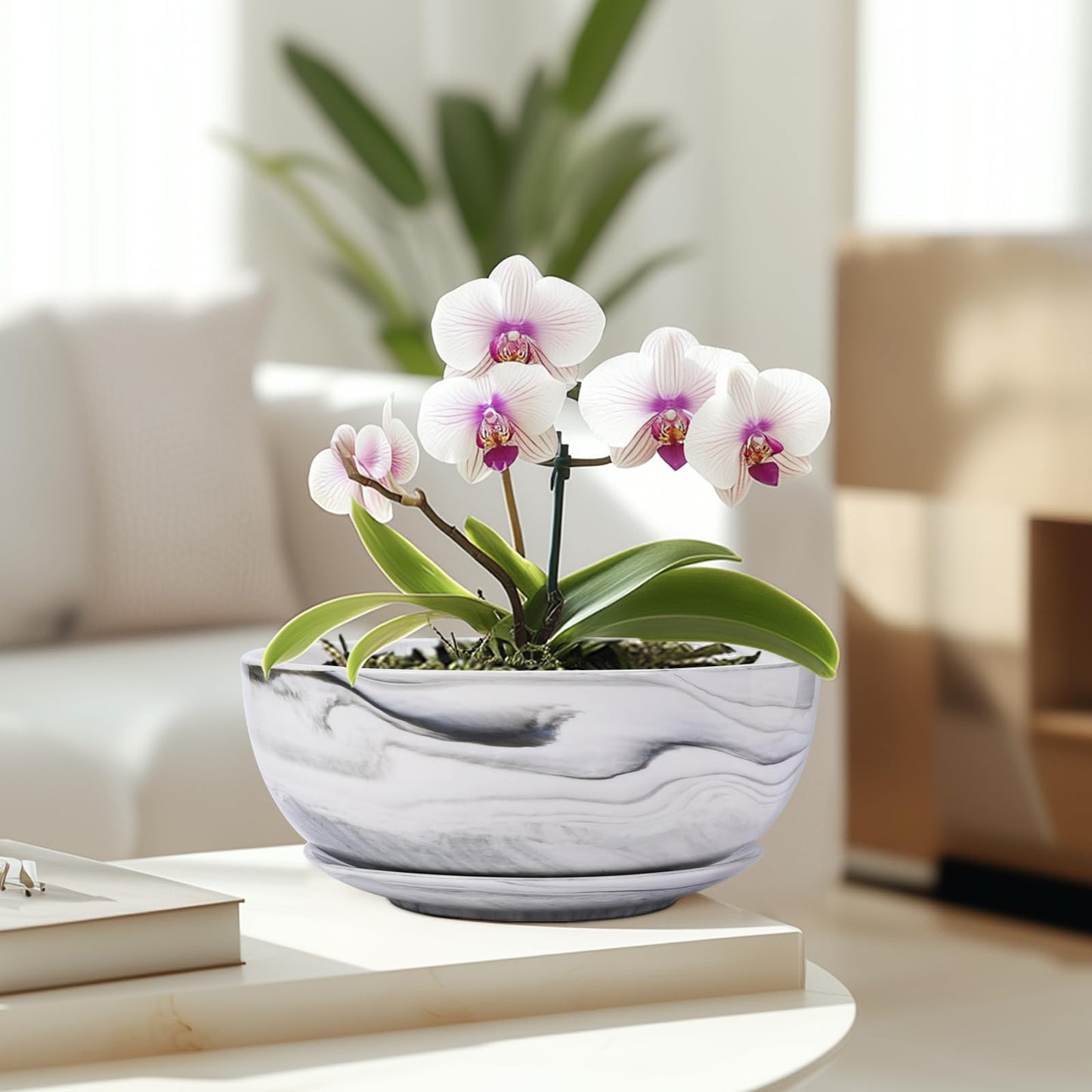 G EPGardening Bonsai Pots, 8 Inch Marble Pattern Ceramic Succulent Pot with Drainage Hole and Plant Saucer, Large Round Planter for Indoor Outdoor Plants, Modern Flower Pot, Plants Lovers Gifts, Grey