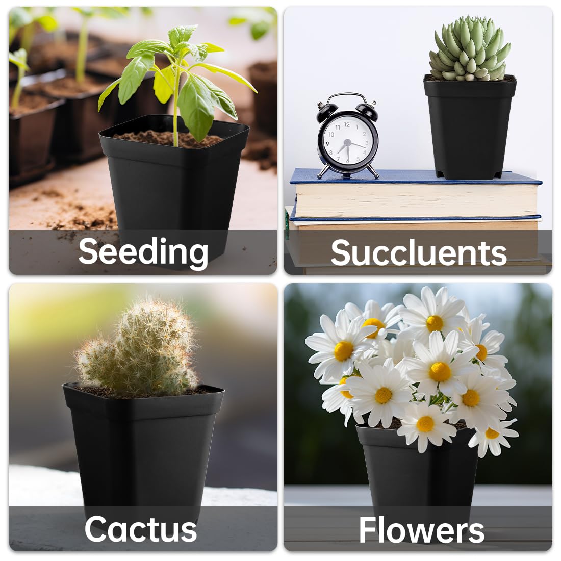 60 Pcs Nursery Pots 2.7 Inch, Plastic Seed Starting Pot with Drainage Holes, Sturdy Seedling pots for Planting, Cuttings (Black)