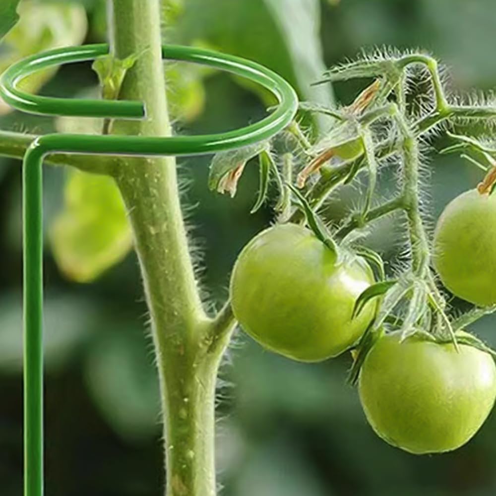 Plant Support Stakes, 16/24/36 Inch Plant Support Rings, 2026 New Single Stem Support for Flowers, Vegetables, Amaryllis, Rose, Orchid, Peony, Lily, Tomatoes (4, 16 Inch)