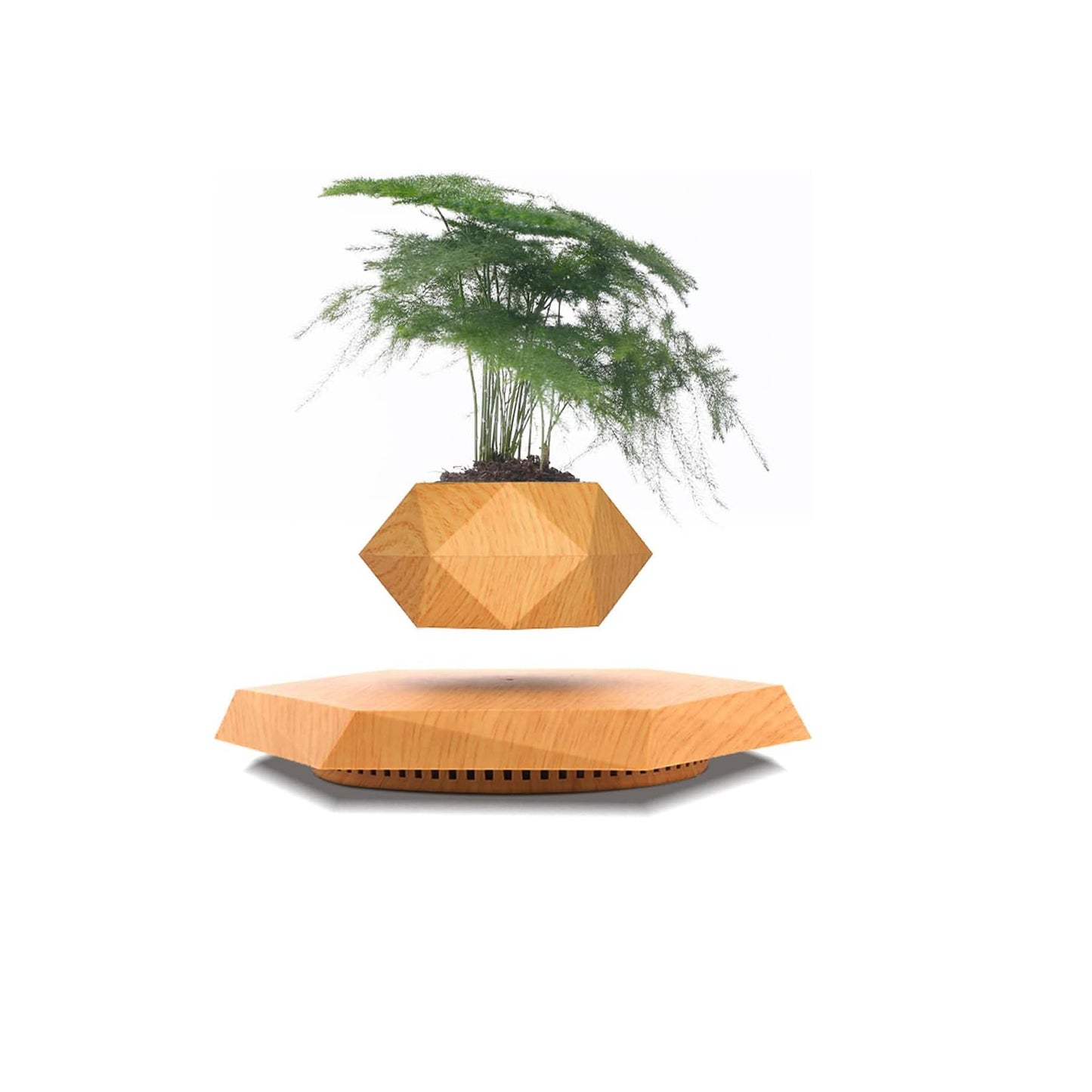 LMingKun Levitating Plant Pot - Floating Plant Pot for Small Plants. Levitating Decor for Home & Office Magnetic Floating Levitating Display (Light Wood Grain)
