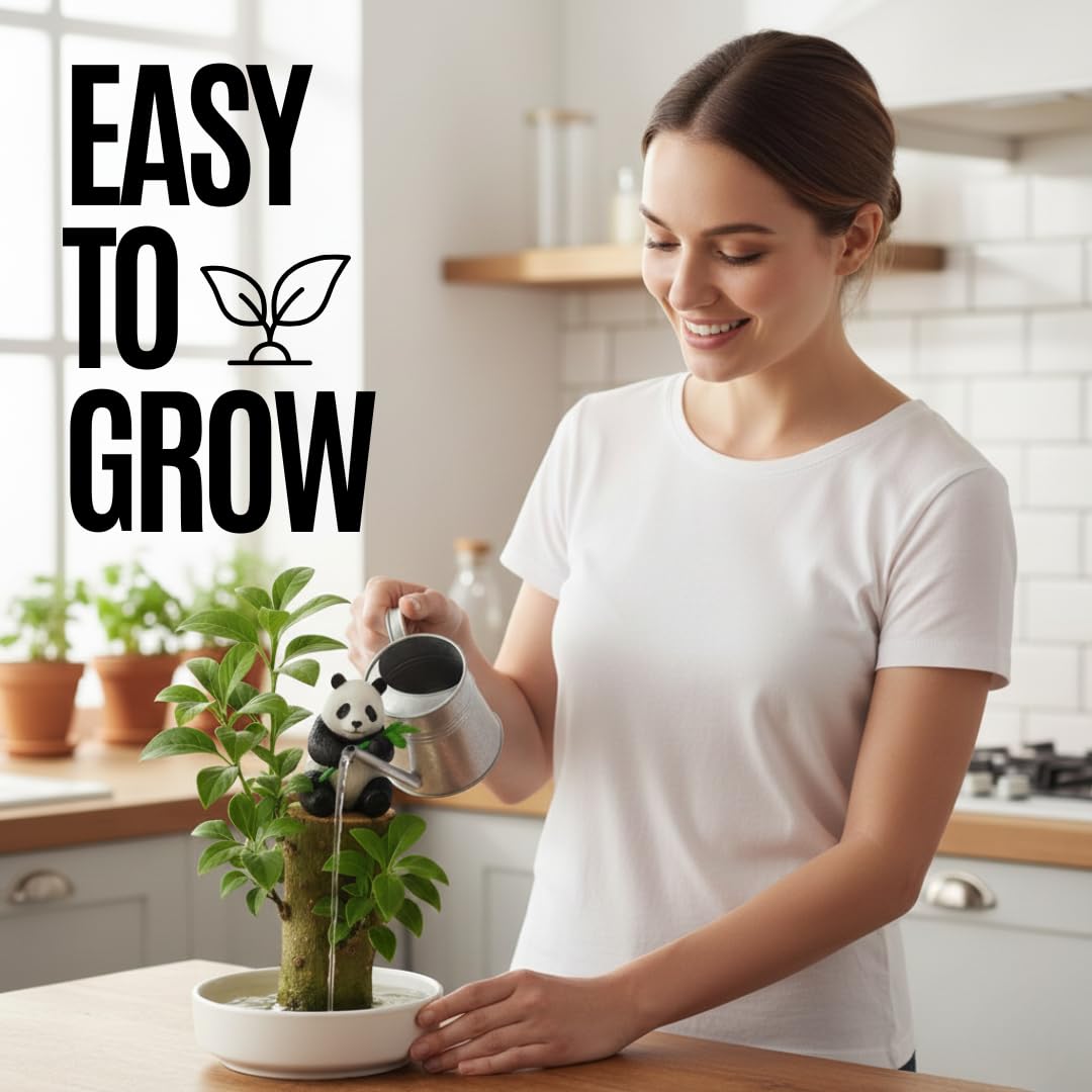 Brazilian Willow Wood Desktop Grow Kits - Great Gift for Office or Wedding Party - Office Secret Santa Gift Exchange - White Elephant - Lucky Joy Kit (2 Kits)