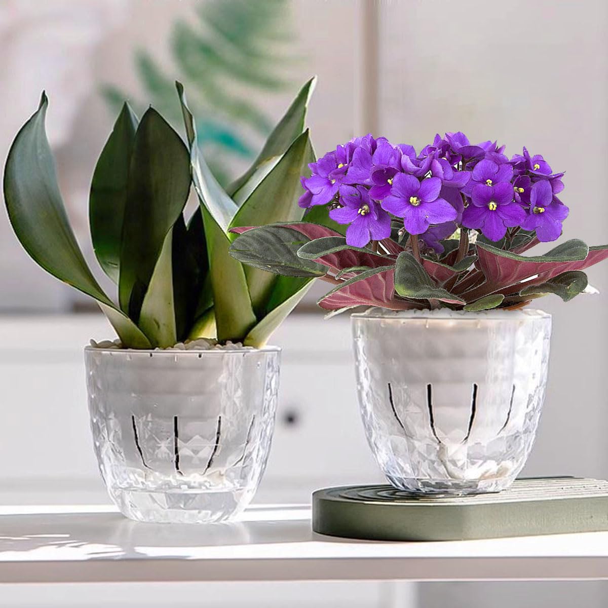 XKYQSY 4 Pack 4 inch Self Watering Pots Planters for Indoor Plants, African Violets Pots with Wick Rope, Modern Plastic Nursery Pots for All House Plants,Flowers Succulents,Herbs,Cactus,Orchids