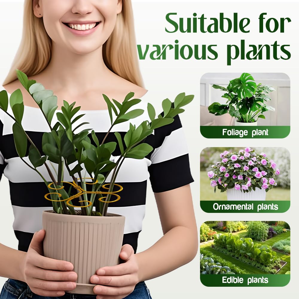 Monstera Plant Support Durable Stabilizer Grapple Holder,Plant Accessories Stable Plant Stem Support Stakes for Outdoor & Indoor Growing Climbing Plant Care Thriving Growth (3, Heart)