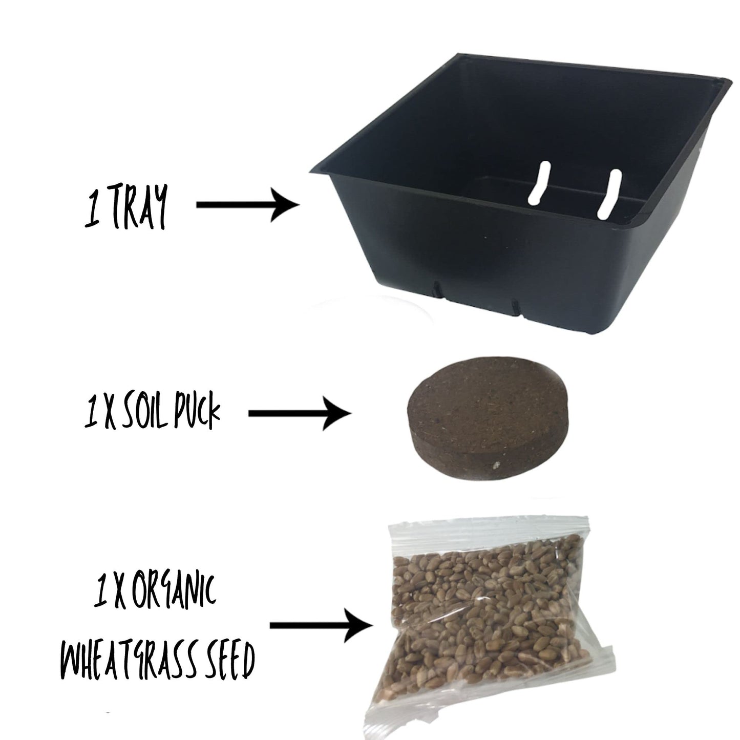 Handy Pantry Organic Cat Grass Kit - Includes 1 Tray, 1 Soil Puck, and Non GMO Wheatgrass Seed - A Healthy Treat for Cats, Dogs, Rabbits, and More