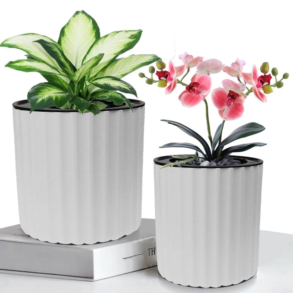 MUZHI Orchid Pot with Net and Holes, Round Self Watering Planter Pot for Indoor Plants and Flowers 3 Sets White
