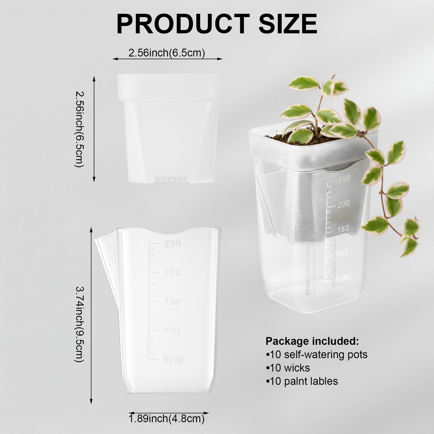 TineDew 10 Pack 2.5 inch Small self Watering pots for Indoor Plants,semi hydroponic pots for leca and pon,Clear Plastic Plant Pot for Propagation,Seedling,Cutting and African Violet (Clear, 2.5 inch)