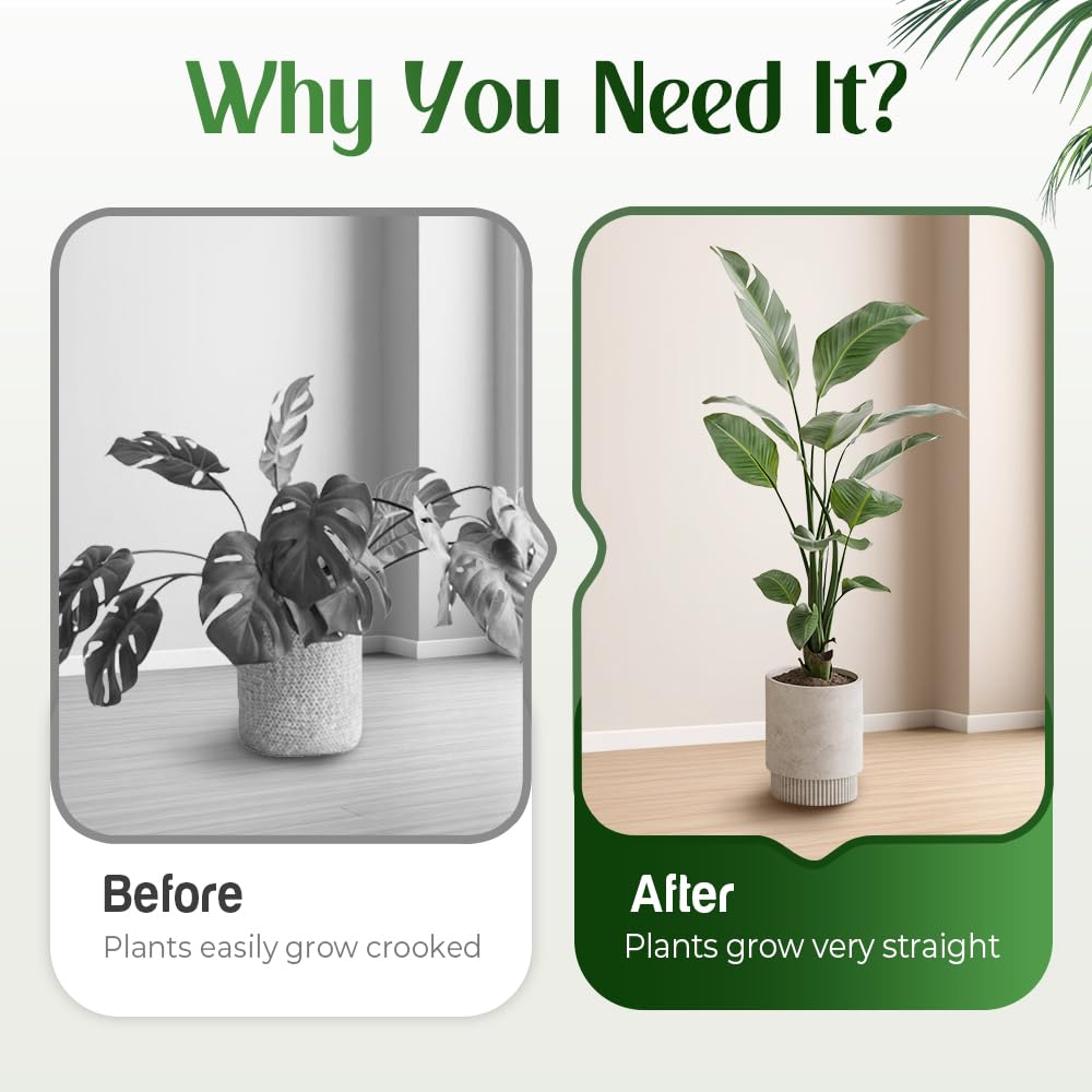 Monstera Plant Support Durable Stabilizer Grapple Holder,Plant Accessories Stable Plant Stem Support Stakes for Outdoor & Indoor Growing Climbing Plant Care Thriving Growth (3, Heart)