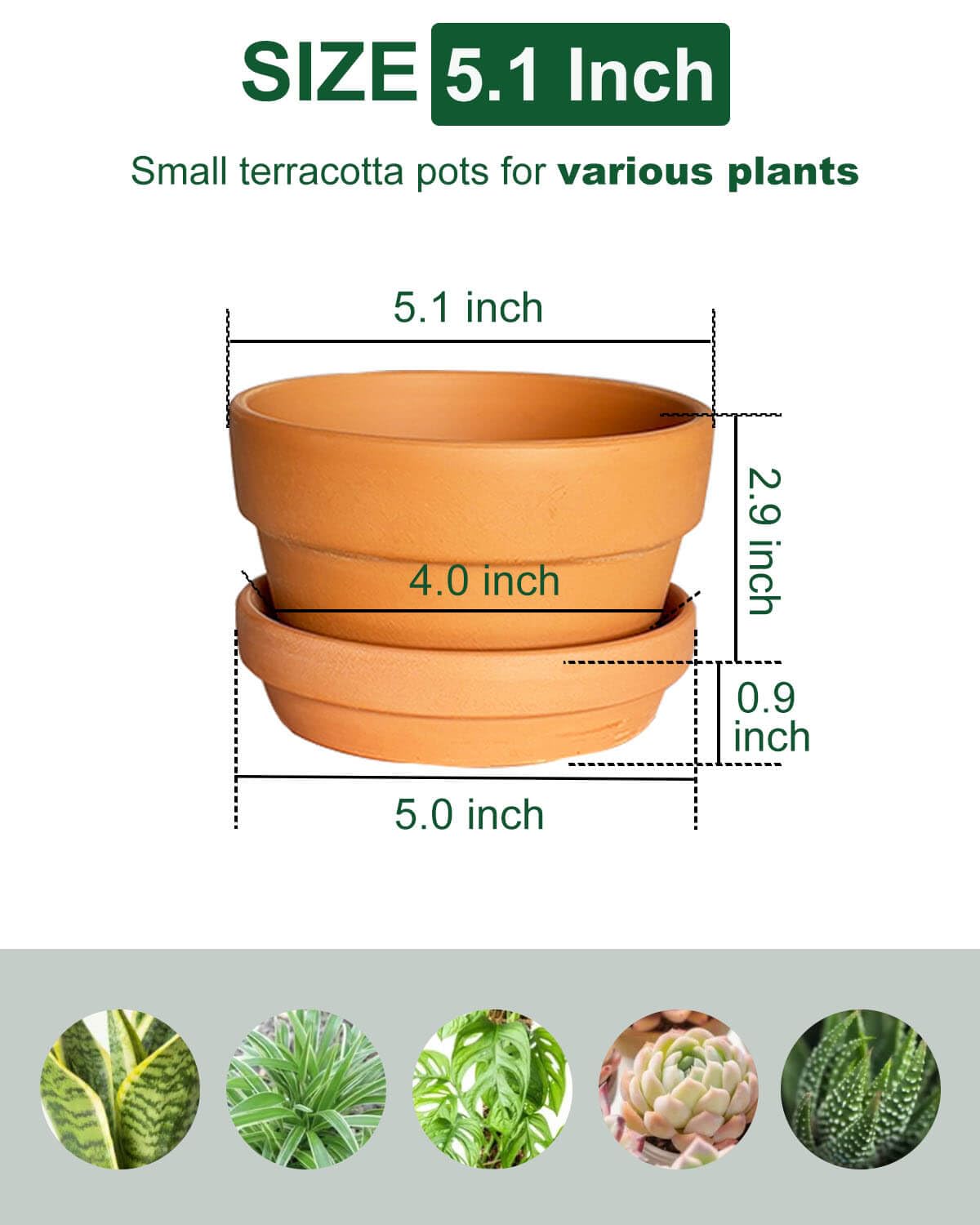 5.1 Inch Shallow Terracotta Plant Pots - 6 Pack Medium Clay Flowerpot with Drainage Hole, Terra Cotta Succulent Pot for Indoor Outdoor Plants