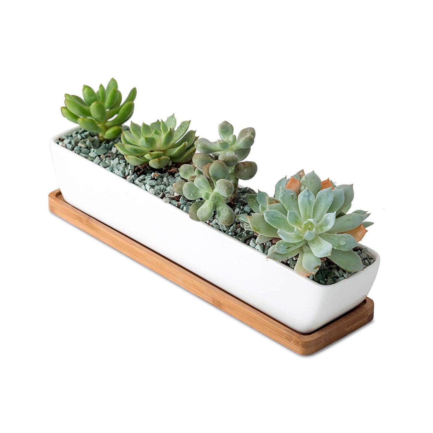 SeaStar White Rectangular Long Succulent Planter Pot,11x2.16x1.75inch Modern Minimalist Ceramic Succulent Planter Pot with Saucer for Office,Desk,Window.