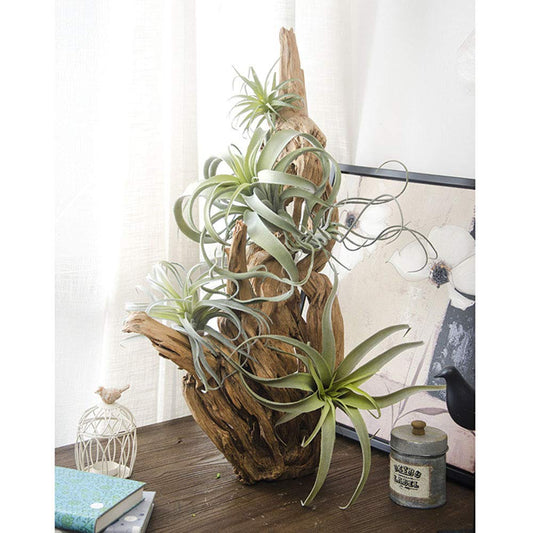 ChezMax Artificial Flocking Tillandsia Air Plants Pineapple Grass Faux Succulents Bromeliads Home Garden Decor 2Pcs 4#