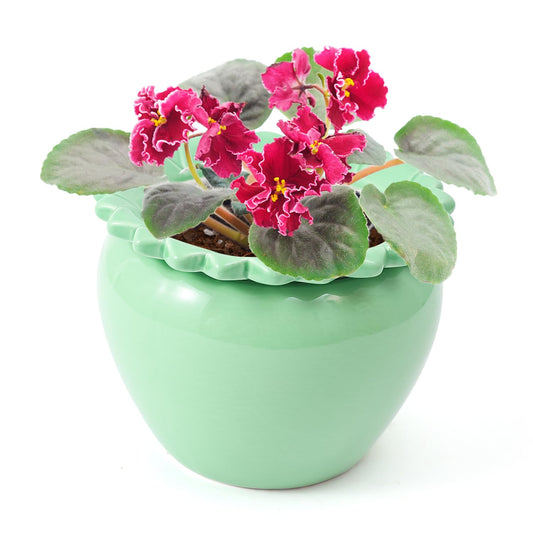 Lovely Ran African Violet Flower Pot Ceramic Self Watering Planter Pot 6.5 * 4.6 * 4 inch Simple Plant Self Watering Pot Green Indoor Flowers High Absorption Herbaceous Flower Pots Modern