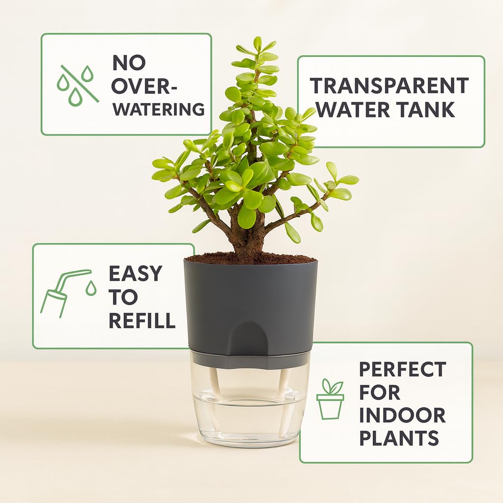 Self Watering Planter Pot with Upgraded Wick System – Modern Indoor Plant Pot with Visible Water Reservoir