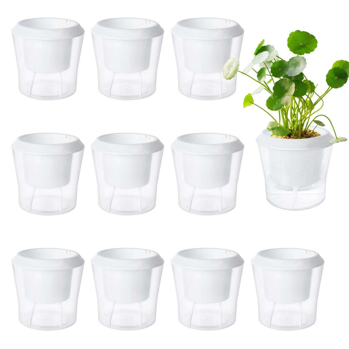 MNKNENG 12 Pack Self Watering Pots for Indoor Plants 4.3 Inch Small Self-Watering Planter Pots with Water Level Indicator, Clear Plastic Round Plant Pot for Succulent, Flower, Herb,Office Home Decor
