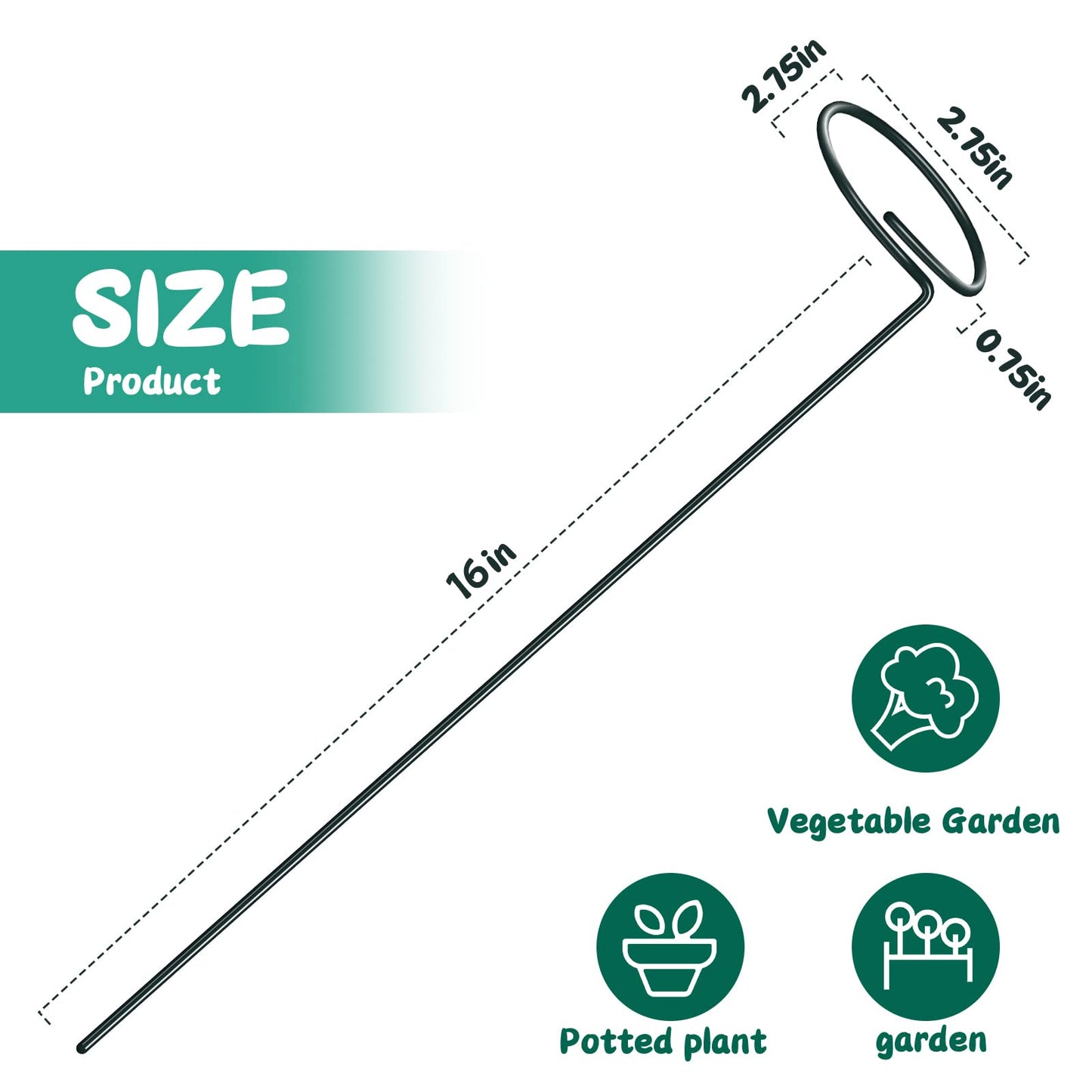 TUXBAWAY 16 Inch Plant Support Stakes (Pack of 7), Garden Single Stem Amaryllis Flower Stake, Metal Plant Cage Support Rings Plants Support Sticks with 10 PCS Plant Clips