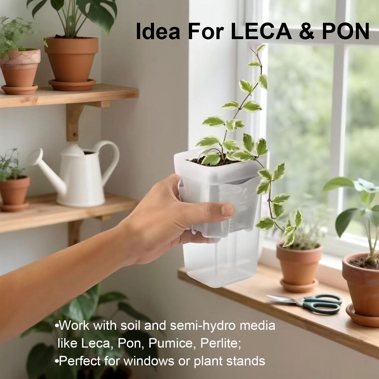 TineDew 10 Pack 2.5 inch Small self Watering pots for Indoor Plants,semi hydroponic pots for leca and pon,Clear Plastic Plant Pot for Propagation,Seedling,Cutting and African Violet (Clear, 2.5 inch)